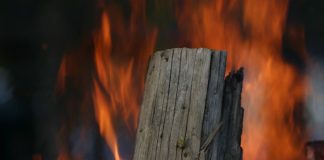 Modelle sollen vorhersagen, wie sich ein Feuer im Wald unter den vorhandenen Bedingungen ausbreitet. (Foto: Gabi Zachmann, KIT)