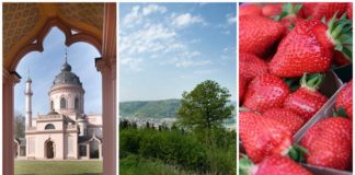 Kultur, Natur und Kulinarik – Den Rhein-Neckar-Kreis neu entdecken (Foto: Landratsamt Rhein-Neckar-Kreis)