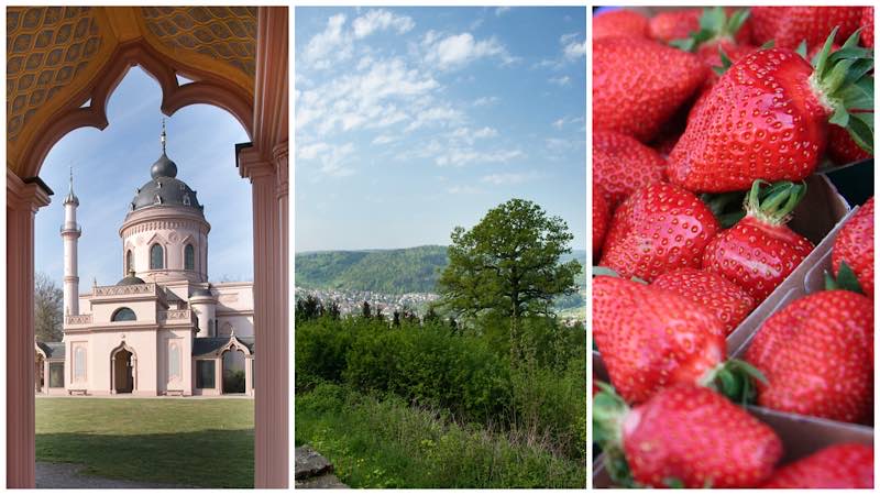 Kultur, Natur und Kulinarik – Den Rhein-Neckar-Kreis neu entdecken (Foto: Landratsamt Rhein-Neckar-Kreis)