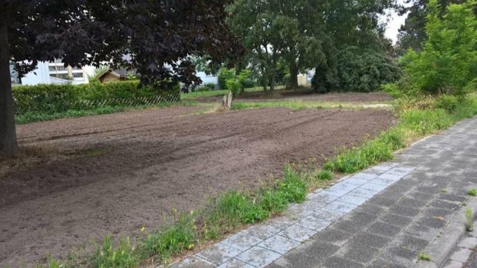 Eine zukünftige Wiesenfläche, die zur Vorbereitung aktuell gefräst wurde. (Foto: Gemeindeverwaltung Haßloch)