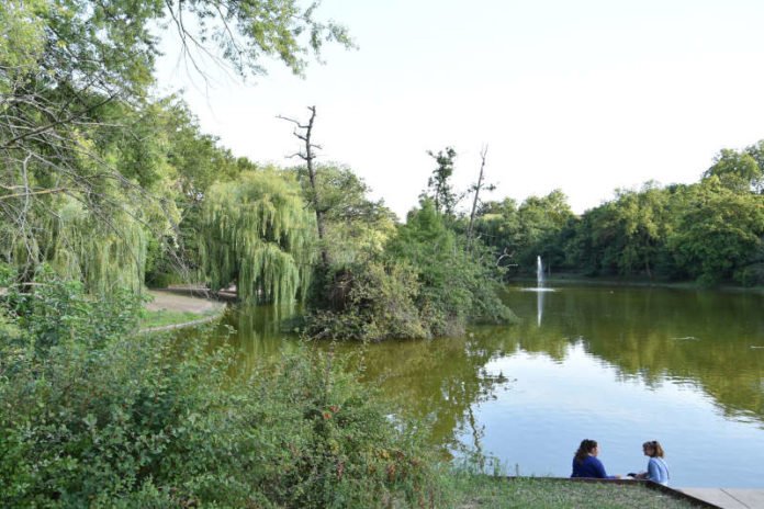 Befindet sich seit Jahren in einem ökologisch schlechten Zustand: Der Landauer Schwanenweiher. (Quelle: Stadt Landau)