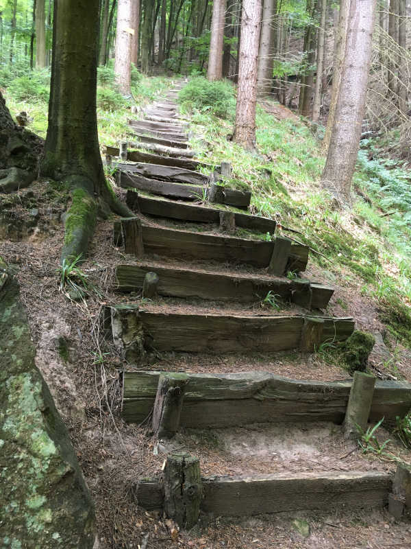 Treppenstufen im Pfälzerwald (Foto: BfT Maikammer)