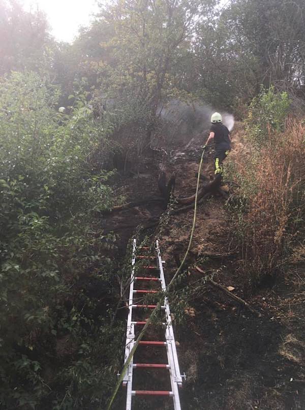 Löscharbeiten (Foto: Feuerwehr Neustadt)