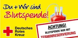 Blutspende (Quelle: DRK)