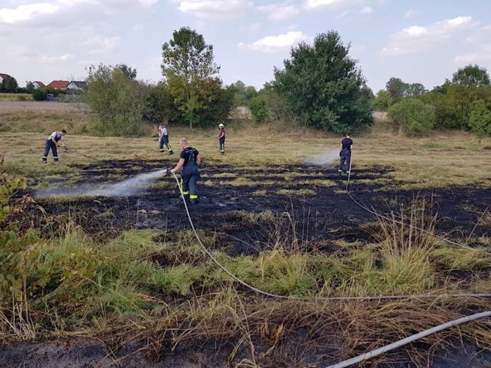 Symbolbild Flächenbrand (Foto: Feuerwehr Haßloch)