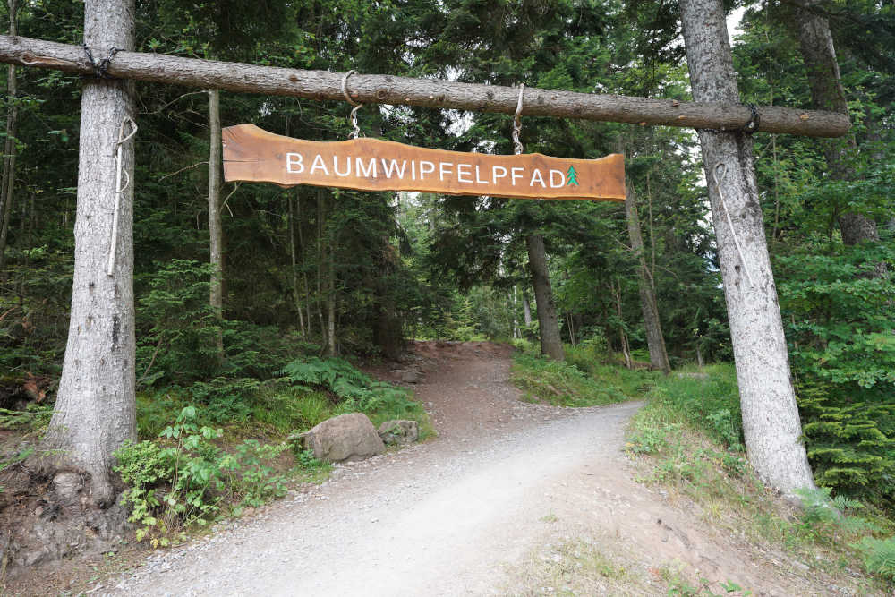 Bad Wildbad Baumwipfelpfad Schwarzwald (Foto: Holger Knecht)