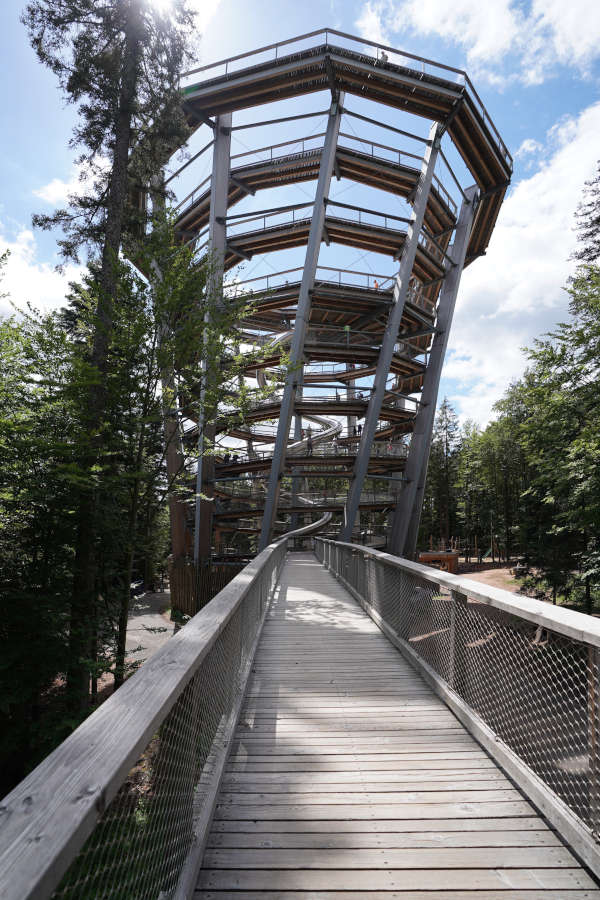 Bad Wildbad Baumwipfelpfad Schwarzwald (Foto: Holger Knecht)