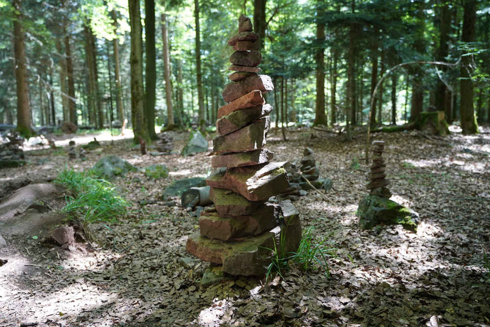 Bad Wildbad Baumwipfelpfad Schwarzwald (Foto: Holger Knecht)