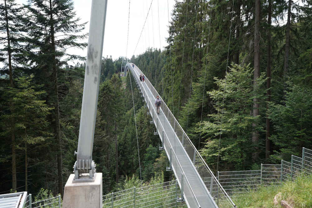 Bad Wildbad Baumwipfelpfad Schwarzwald (Foto: Holger Knecht)