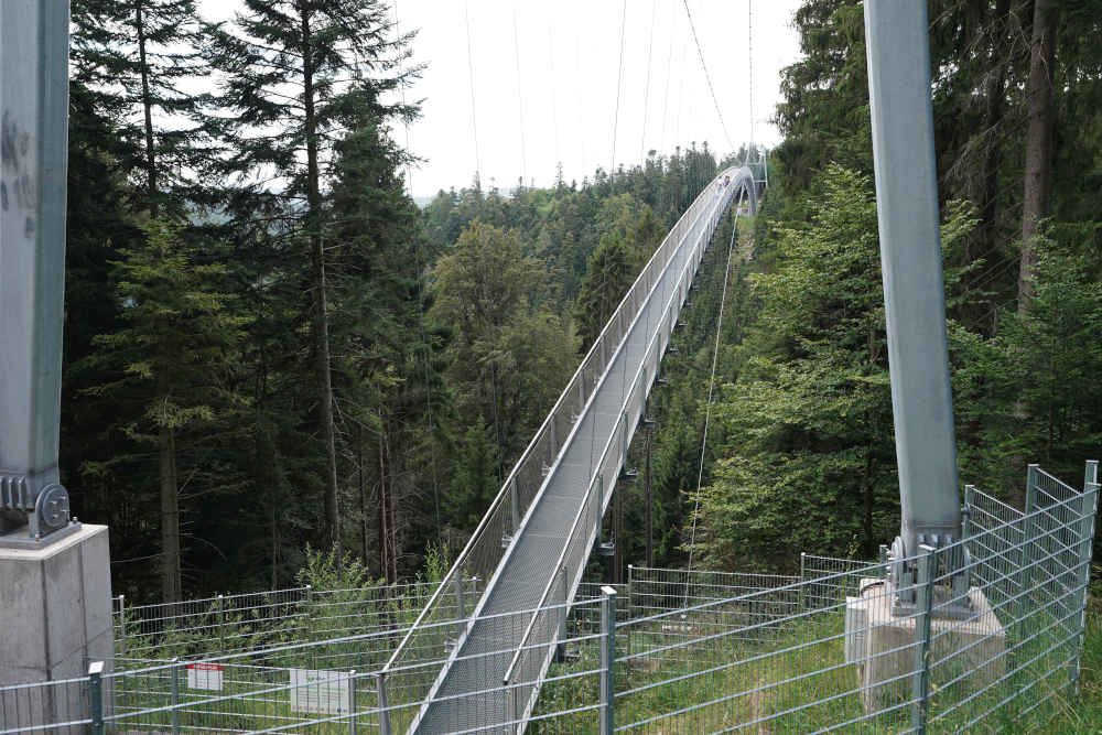 Bad Wildbad Baumwipfelpfad Schwarzwald (Foto: Holger Knecht)