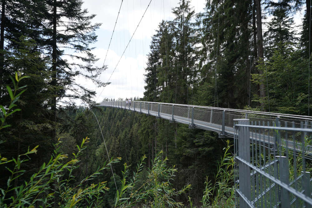 Bad Wildbad Baumwipfelpfad Schwarzwald (Foto: Holger Knecht)