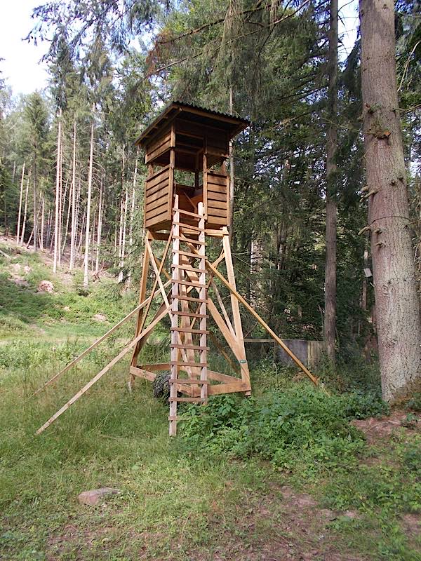 Der beschädigte Hochsitz (Foto: Polizei RLP)