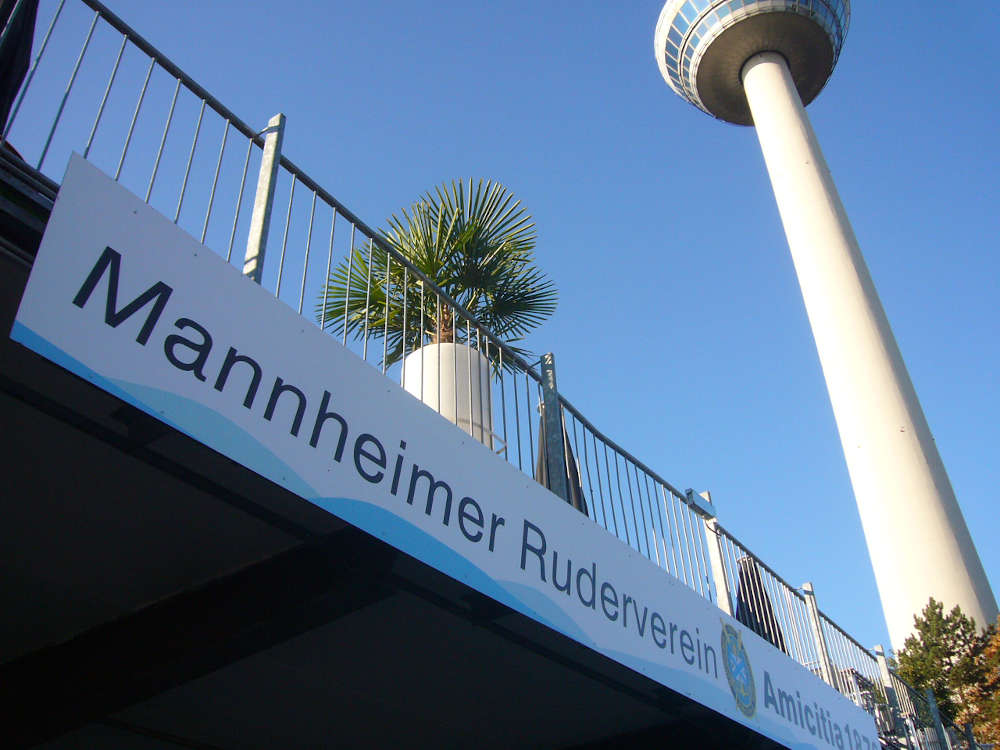 Verein im Sportkreis Mannheim: Die 