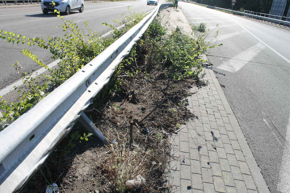 Unfallstelle auf der B 9 (Foto: Polizei RLP)