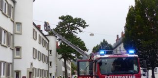 Eine Dachgeschosswohnung brannte (Foto: Feuerwehr Neustadt)