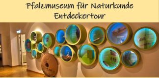 Entdeckertour im Pfalzmuseum für Naturkunde (Foto: Pfalzmuseum für Naturkunde)