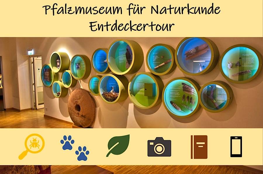 Entdeckertour im Pfalzmuseum für Naturkunde (Foto: Pfalzmuseum für Naturkunde)