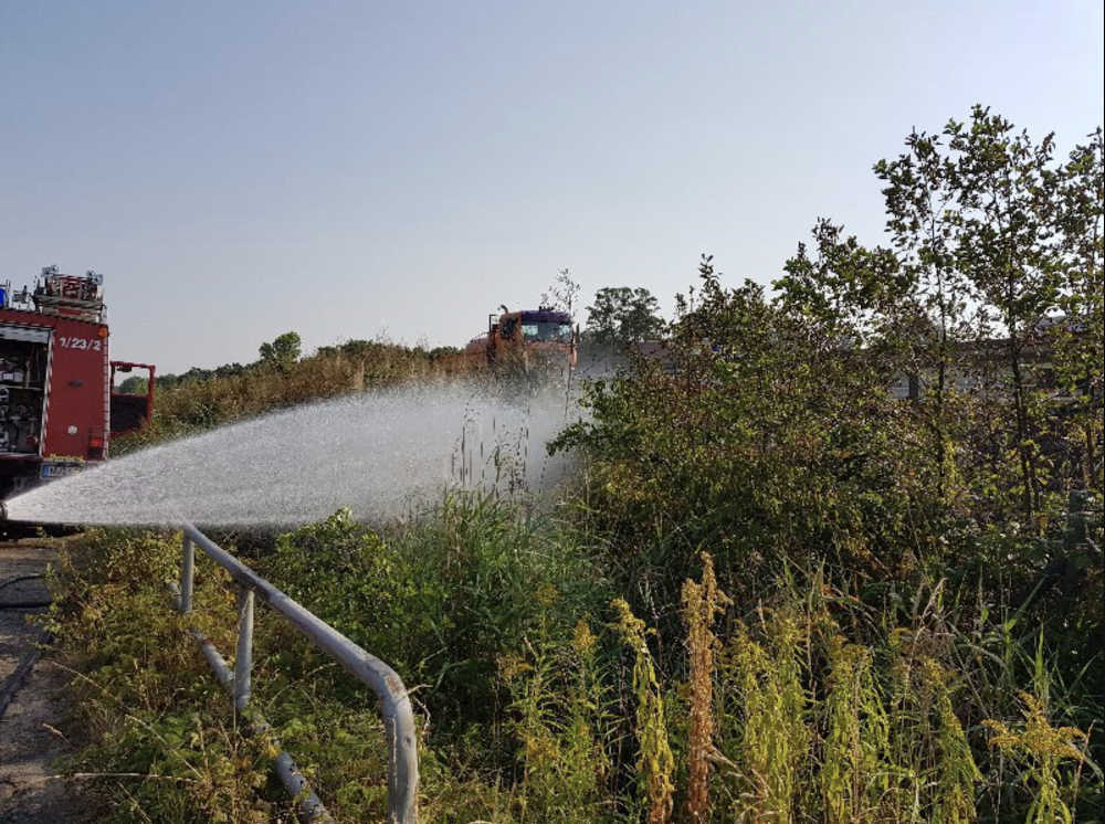 Böschungsbrand (Foto: Feuerwehr Neustadt)