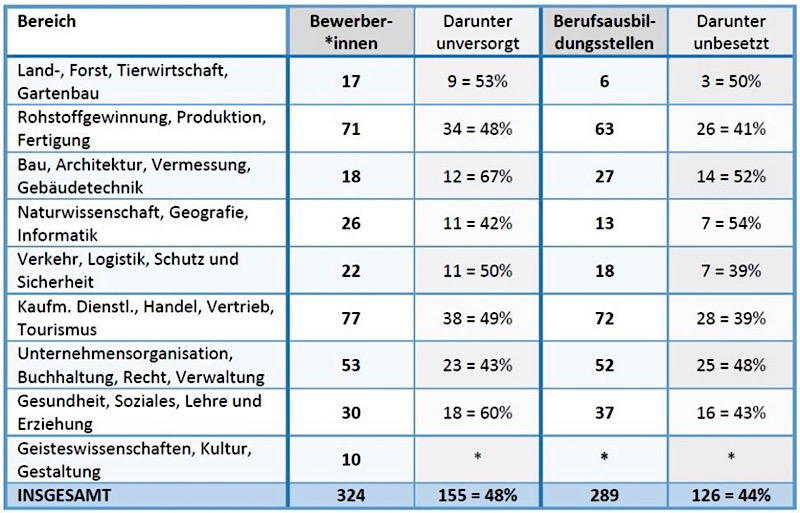 Bewerber/innen und Berufsausbildungsstellen Juni 2020 in Neustadt a. d. Weinstr. (eigene Darstellung; vgl. BA, 2020: 16-18)