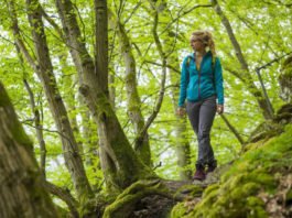 Wandern auf der Luchsspur (Foto: Landesforsten RLP/ Jonathan Fieber)