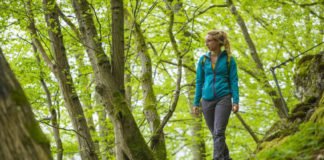 Wandern auf der Luchsspur (Foto: Landesforsten RLP/ Jonathan Fieber)