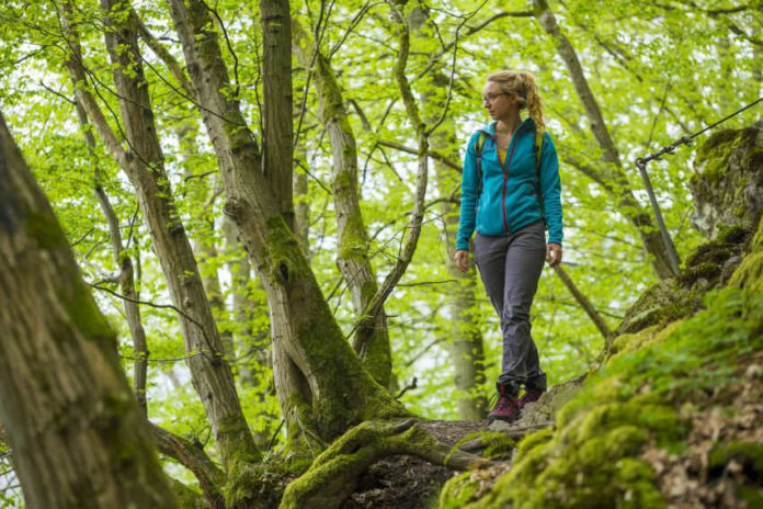 Wandern auf der Luchsspur (Foto: Landesforsten RLP/ Jonathan Fieber)