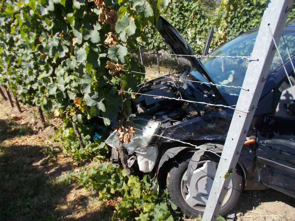 Verkehrsunfall in der Speyerdorfer Straße (Foto: Polizei RLP)