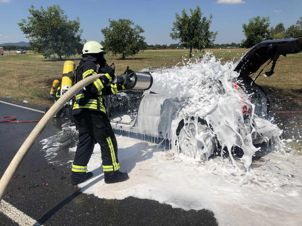 PKW-Brand (Foto: Feuerwehr Neustadt)