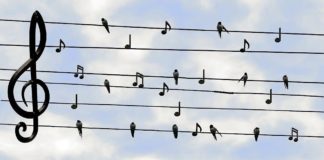 Symbolbild Musik Noten (Foto: Pixabay/Dieter_G)