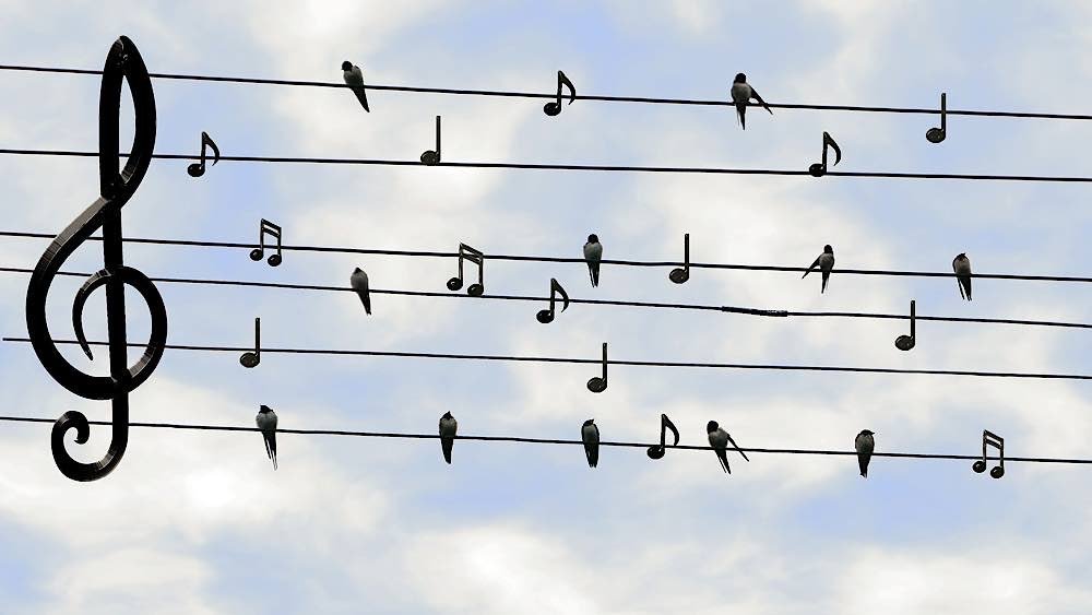 Symbolbild Musik Noten (Foto: Pixabay/Dieter_G)