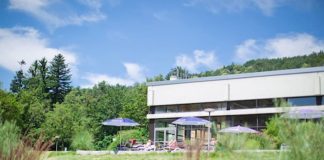 Im Hallenbad Köpfel lässt sich bei schönem Wetter auch der großzügige Außenbereich mit Liegeterrasse im Grünen genießen. (Foto: Stadtwerke Heidelberg GmbH)