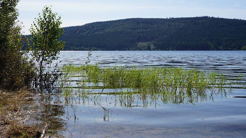 Symbolbild Schluchsee (Foto: Pixabay/CathyUser)