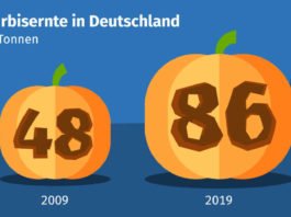 Speisekürbisernte in Deutschland in tausend Tonnen (Quelle: DESTATIS 2020)