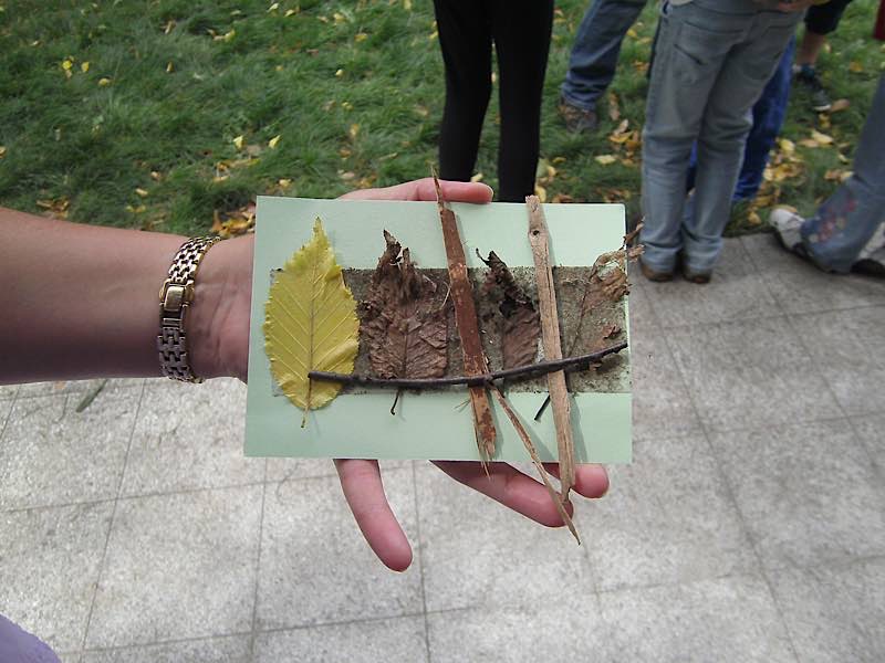 Outdoor-Ferienprogramm (Foto: Pfalzmuseum für Naturkunde)