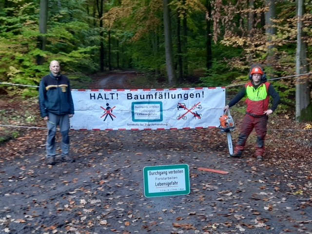 Die Holzerntesaison hat begonnen (Foto: Landratsamt Karlsruhe)