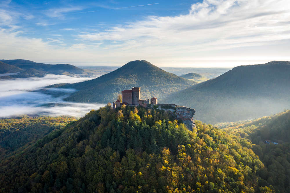 Burg Trifels (Foto: Dominik Ketz)