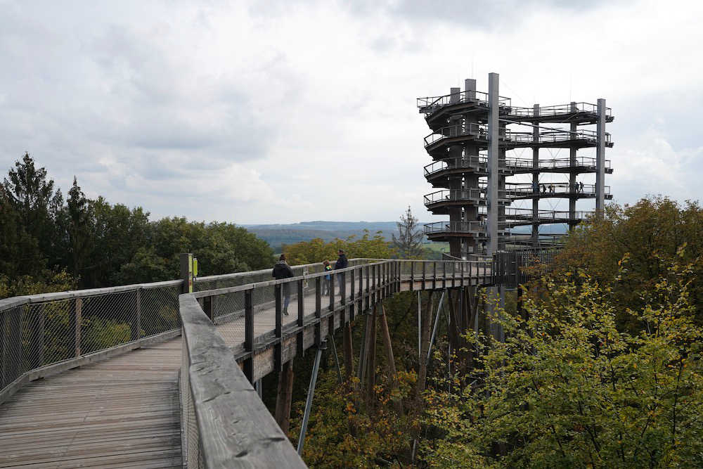 Baumwipfelpfad Saarschleife 2020 (Foto: Holger Knecht)