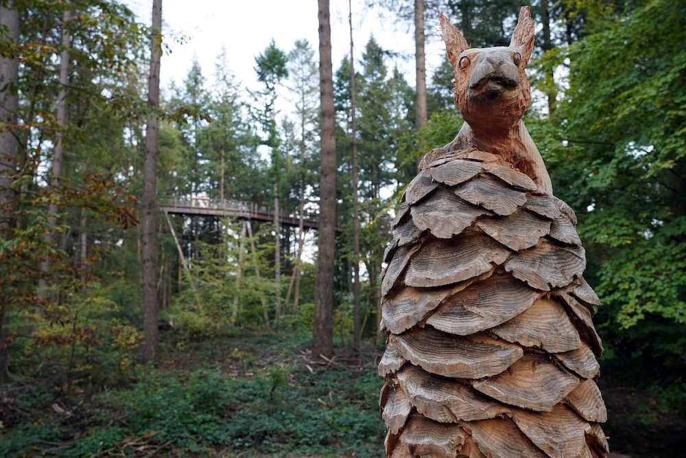 Baumwipfelpfad Saarschleife 2020 (Foto: Holger Knecht)