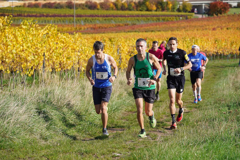 Birkweiler Hohenbergtrail 2020 (Foto: Reinhard Schnell)