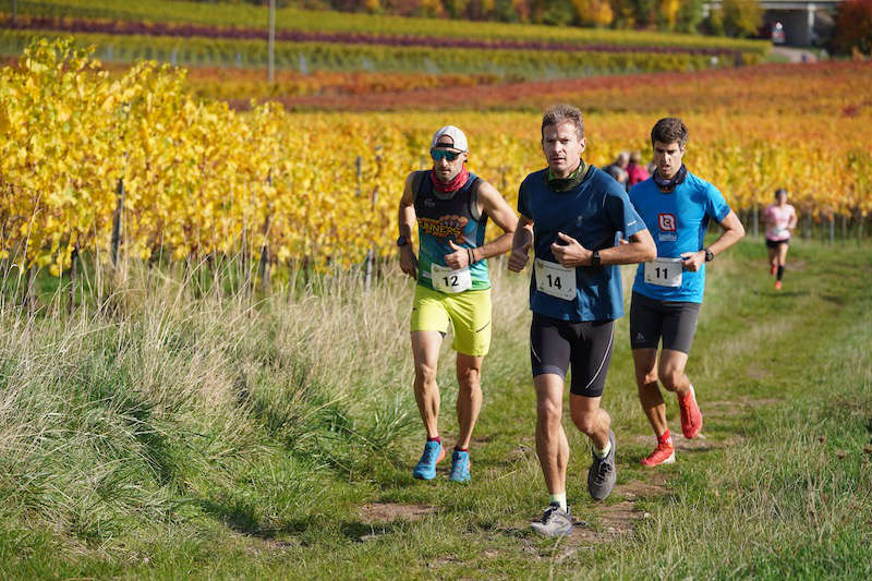 Birkweiler Hohenbergtrail 2020 (Foto: Reinhard Schnell)