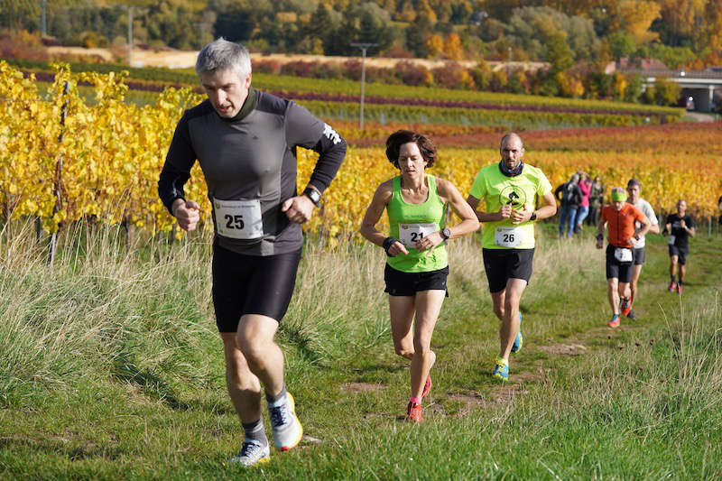 Birkweiler Hohenbergtrail 2020 (Foto: Reinhard Schnell)