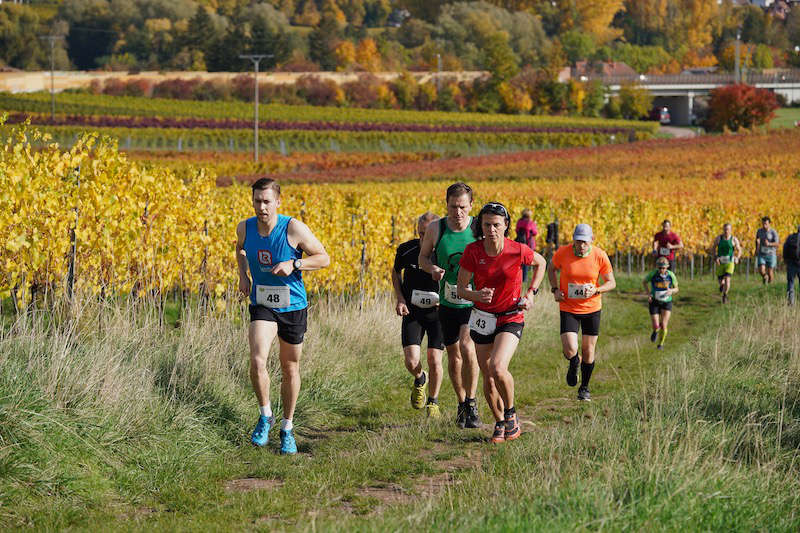 Birkweiler Hohenbergtrail 2020 (Foto: Reinhard Schnell)