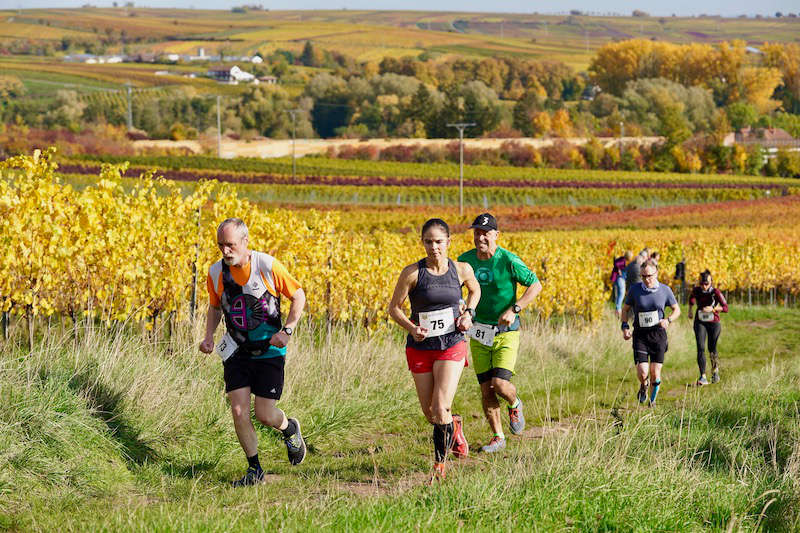 Birkweiler Hohenbergtrail 2020 (Foto: Reinhard Schnell)