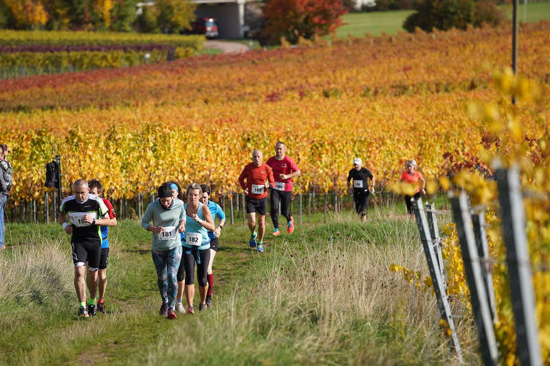 Birkweiler Hohenbergtrail 2020 (Foto: Reinhard Schnell)