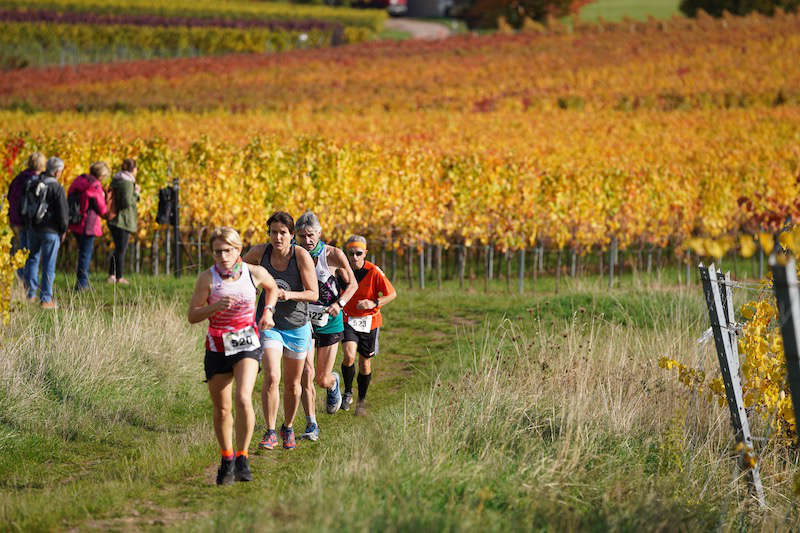 Birkweiler Hohenbergtrail 2020 (Foto: Reinhard Schnell)
