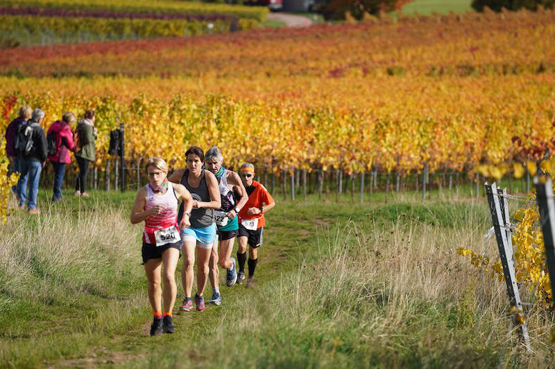 Birkweiler Hohenbergtrail 2020 (Foto: Holger Knecht)