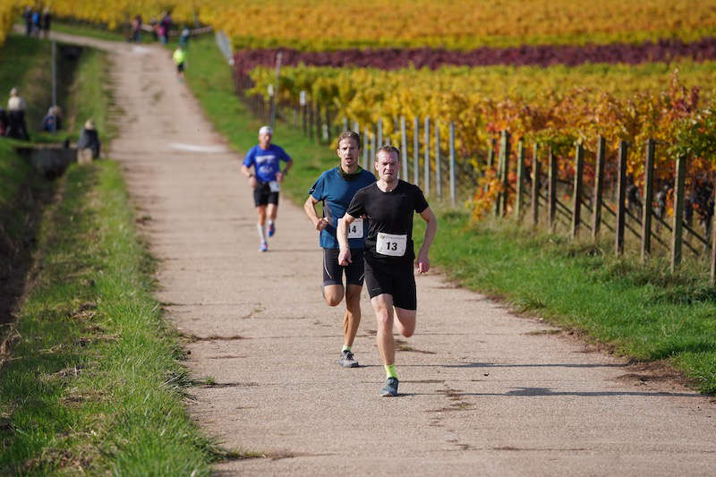 Birkweiler Hohenbergtrail 2020 (Foto: Reinhard Schnell)
