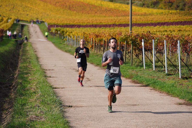 Birkweiler Hohenbergtrail 2020 (Foto: Reinhard Schnell)