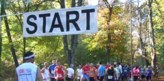 Startlinie des Hardtwaldlaufs 2018 (Foto: Hannes Blank)