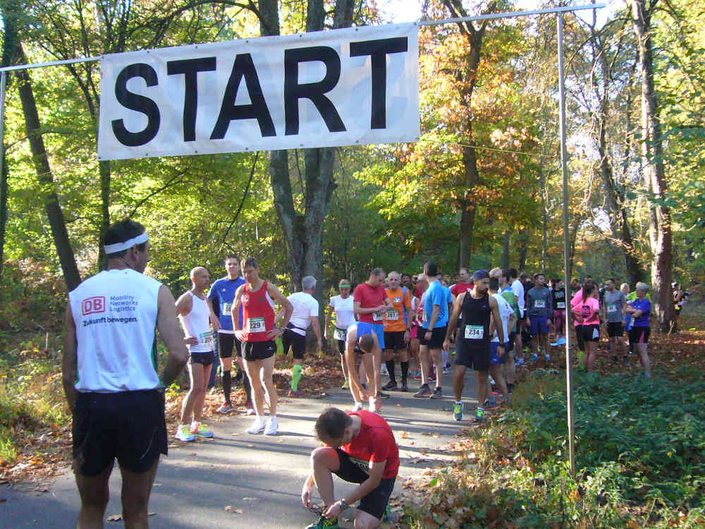 Startlinie des Hardtwaldlaufs 2018 (Foto: Hannes Blank)